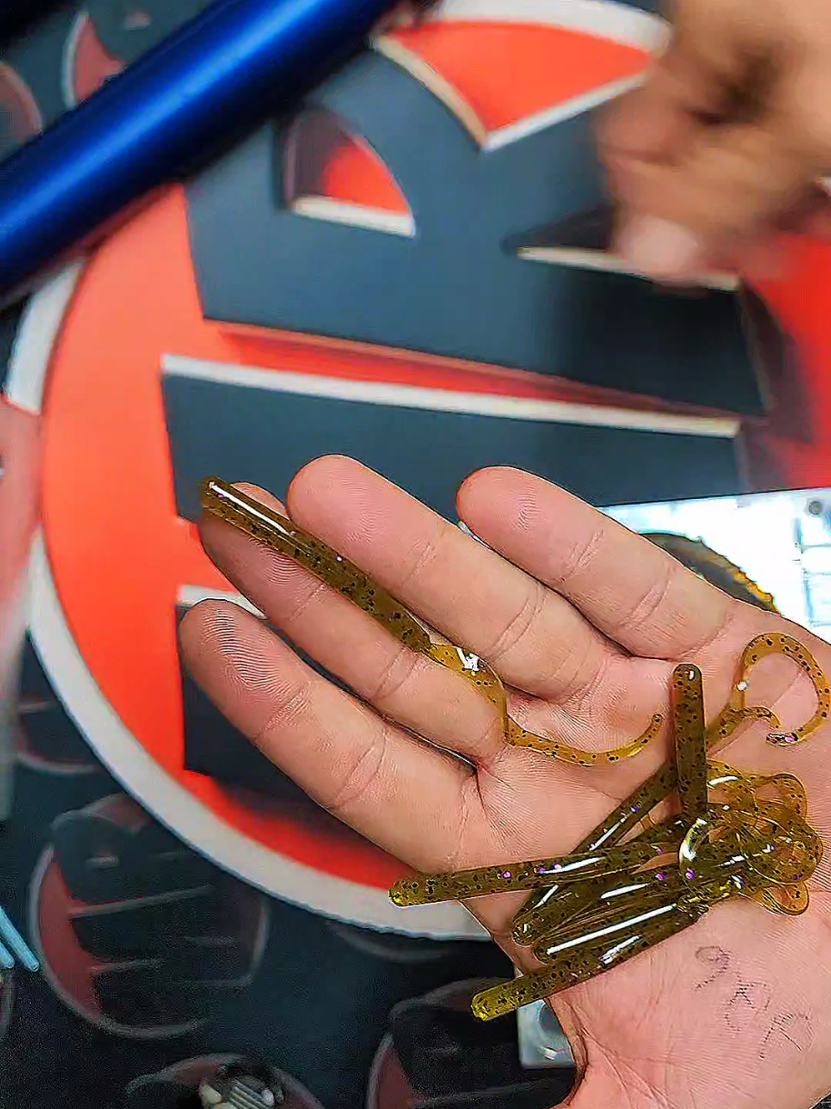 @ModestBaits