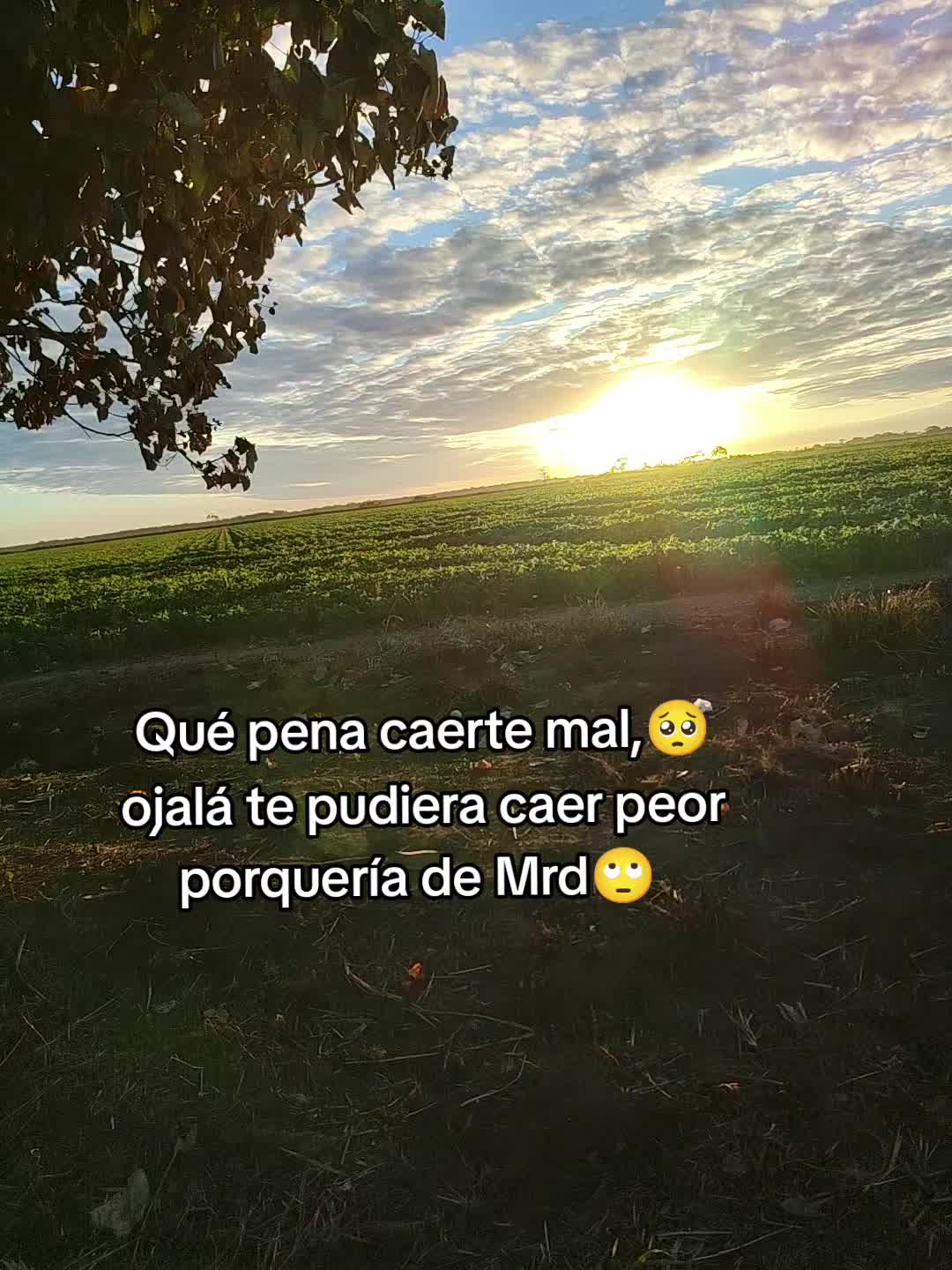@Evi Gonzales 🇨🇱🇧🇴
