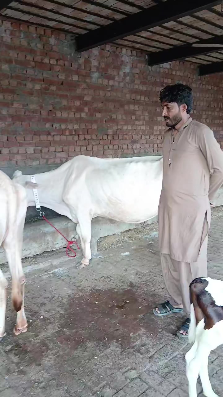 @Farming and Business Ideas