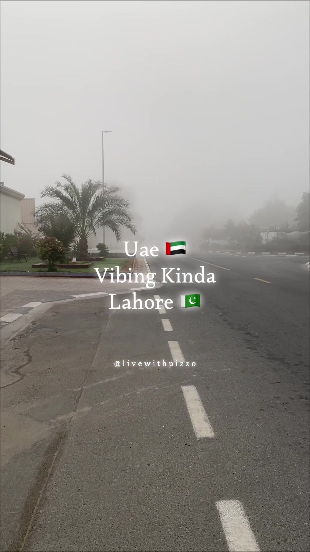 @Pizzo🇵🇰🇦🇪