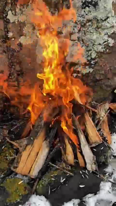@Basoglu