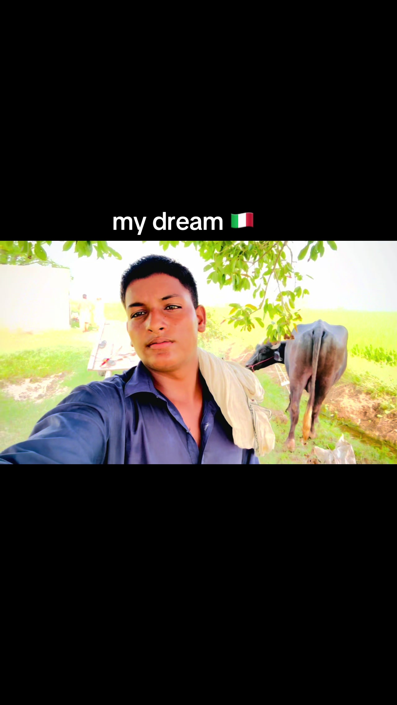 @dawood mattu
