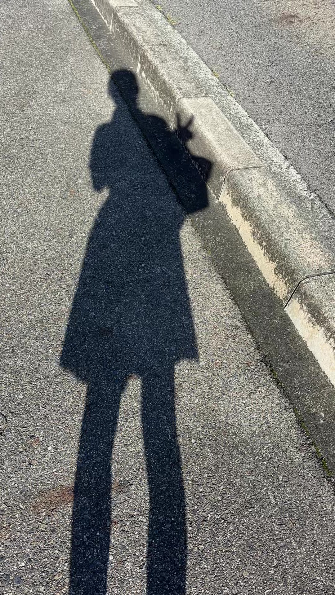 @わかわか