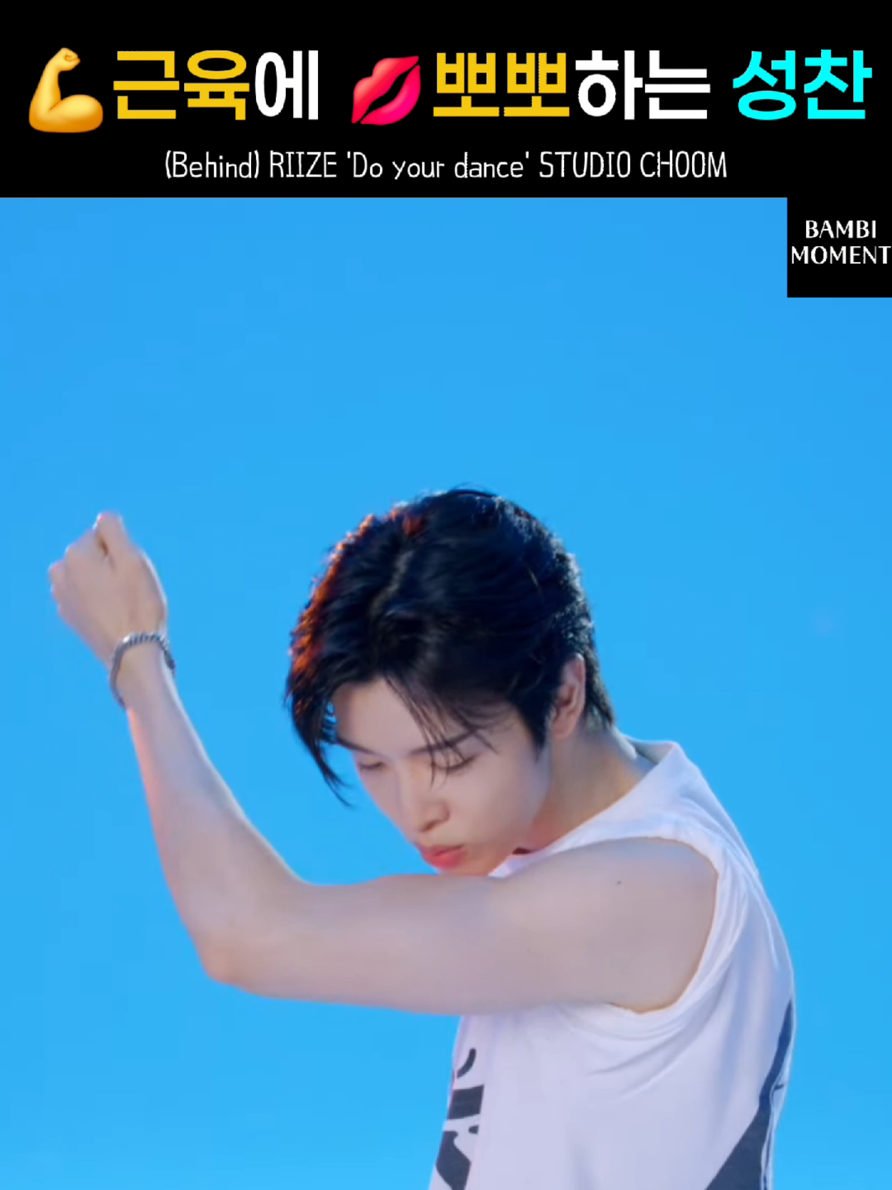 @밤비모먼트 Bambi Moment
