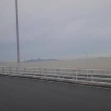 @蒂亞♊