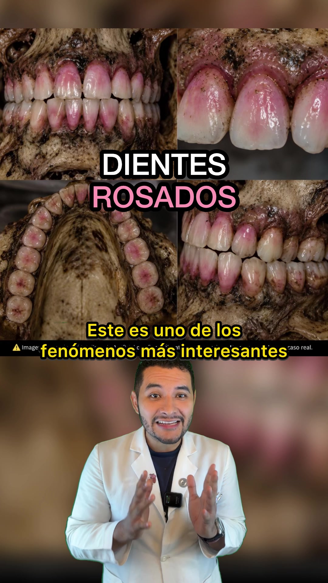 @Investigador Forense