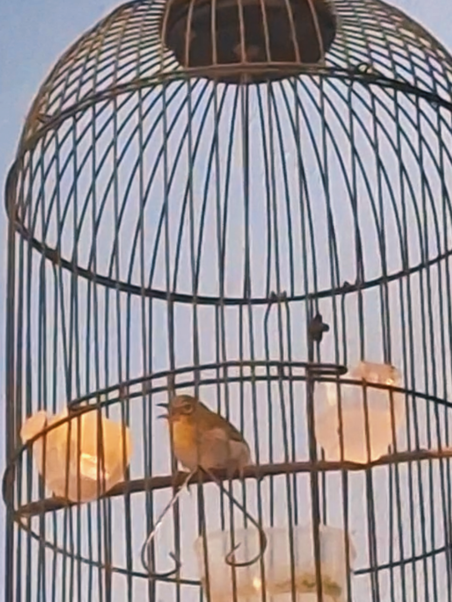@totalbukpar