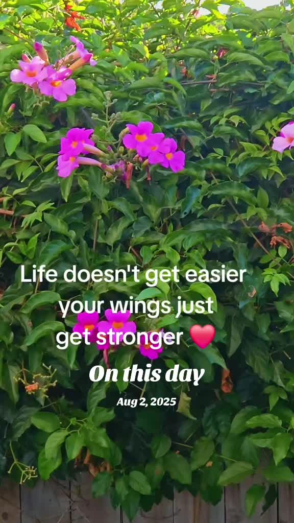 @Lisa • Pink Sugar Blossom