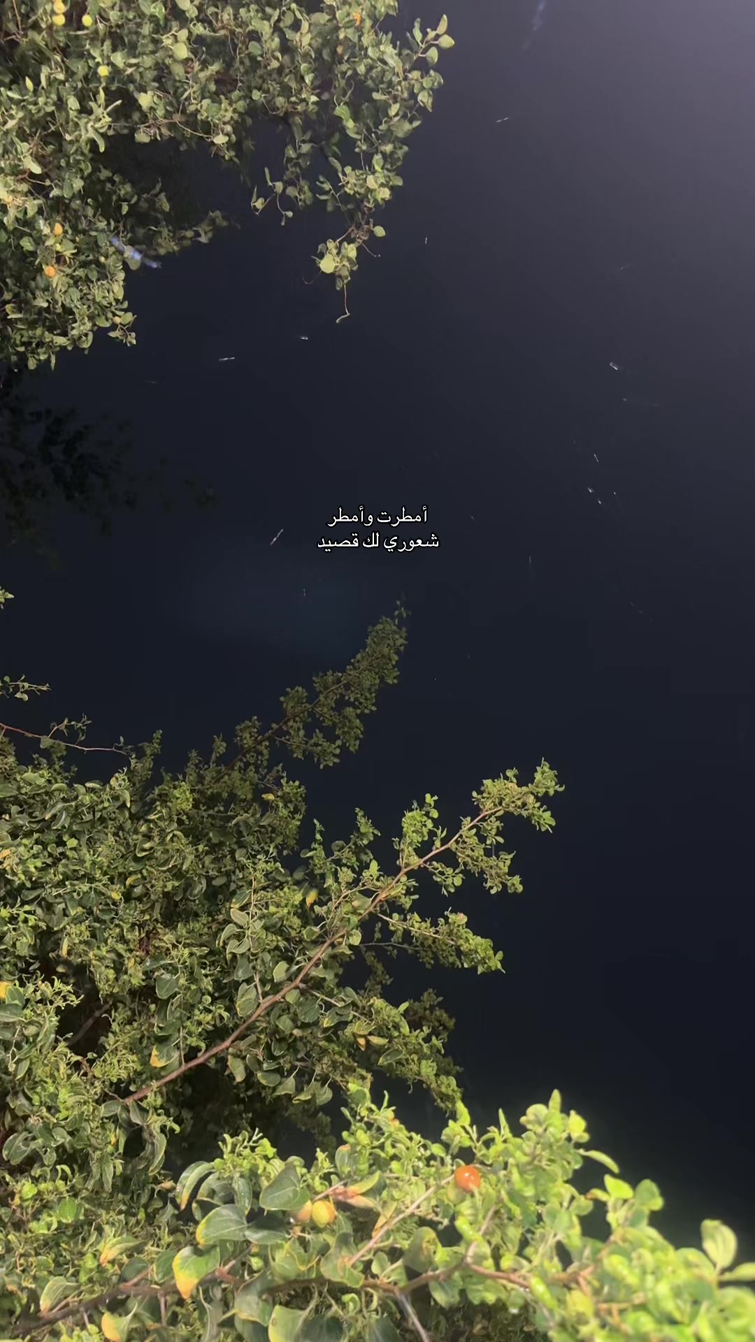 @Wafa moubark