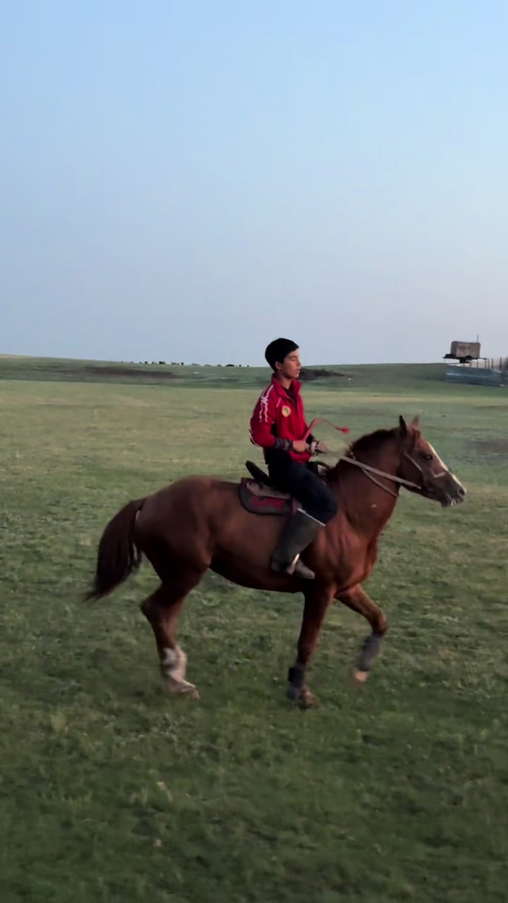 @Ersayka