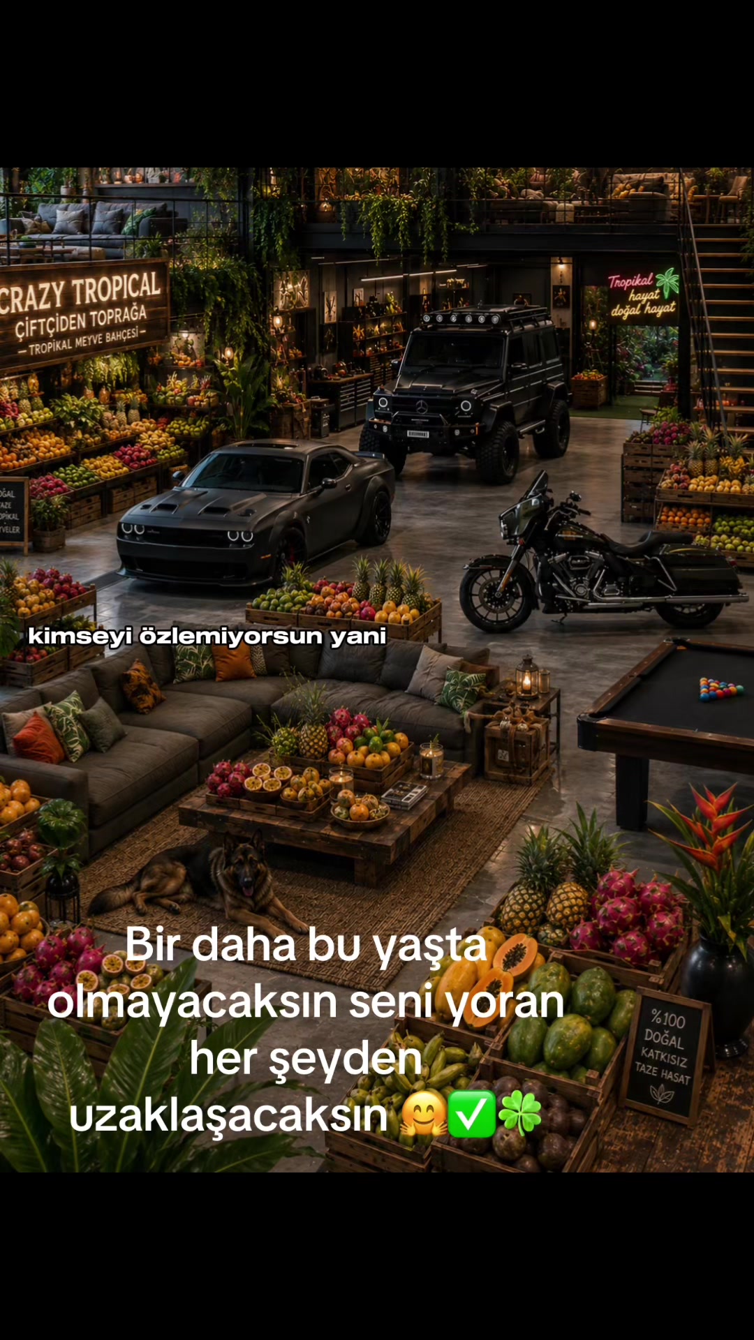 @Crayz tropikalantalya