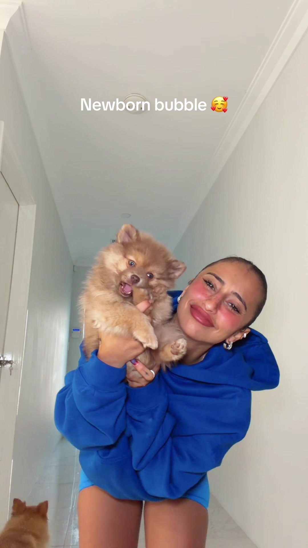 @Yasmin Elmasri