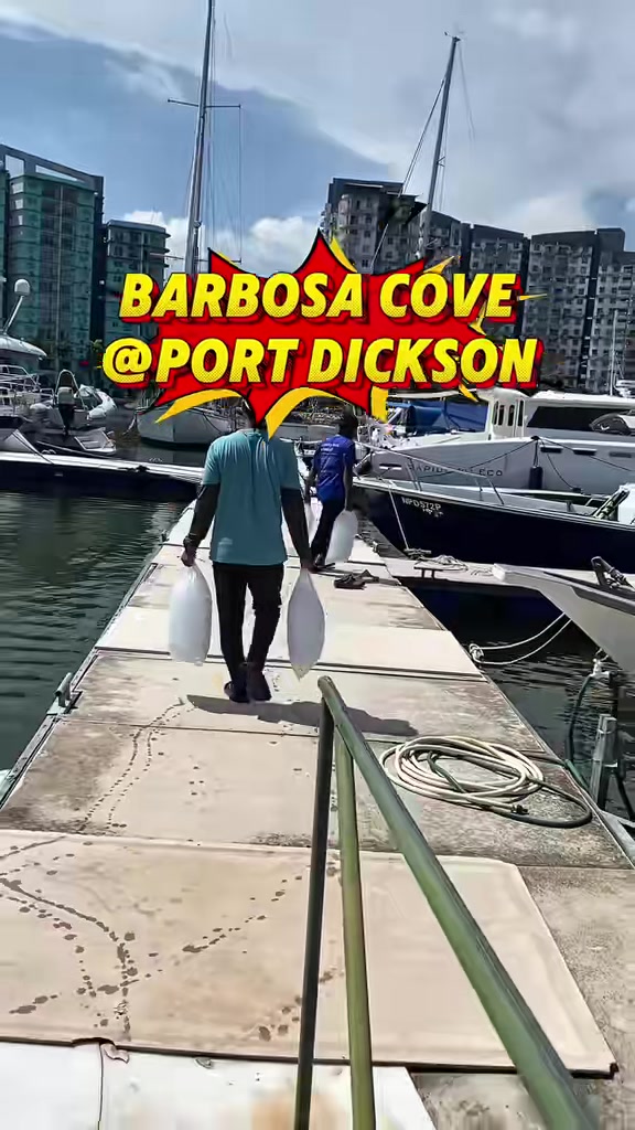 @barbosacove
