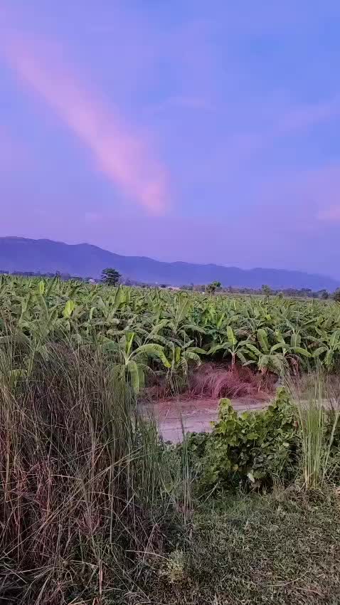 @shivji