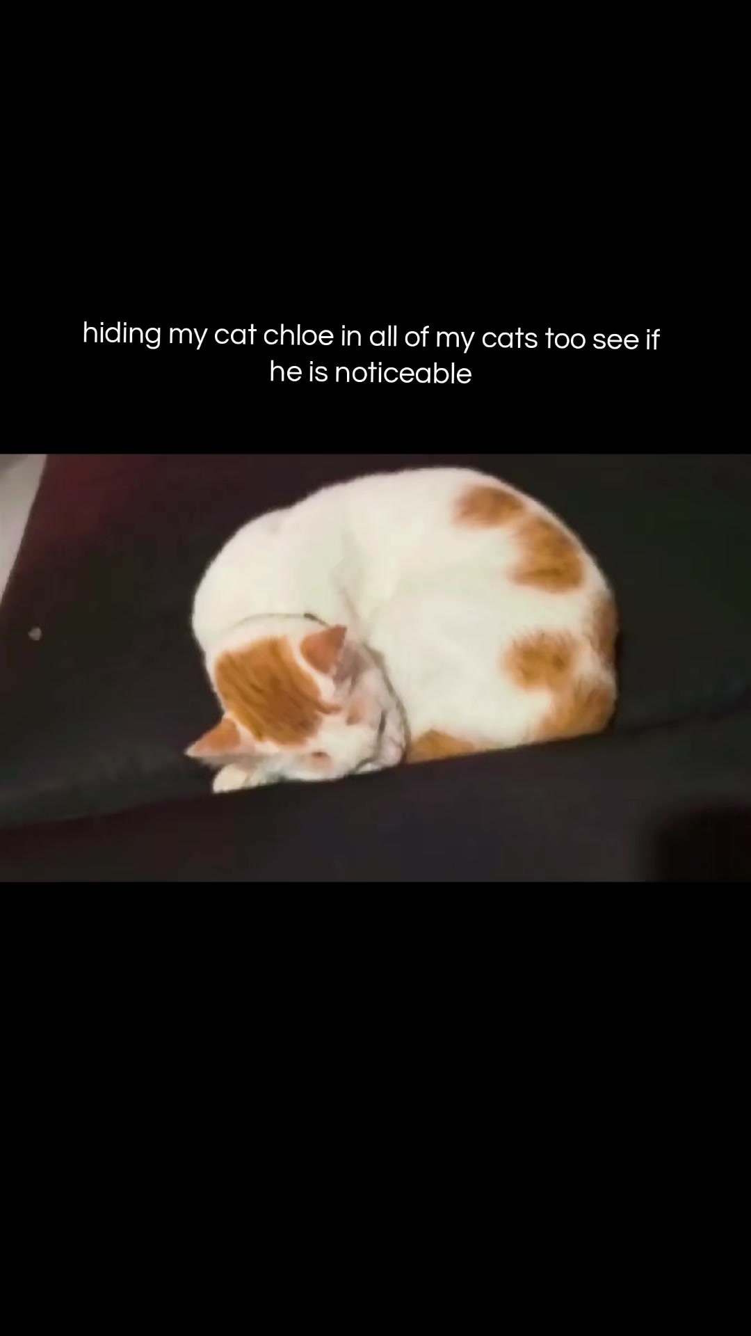 @🎀