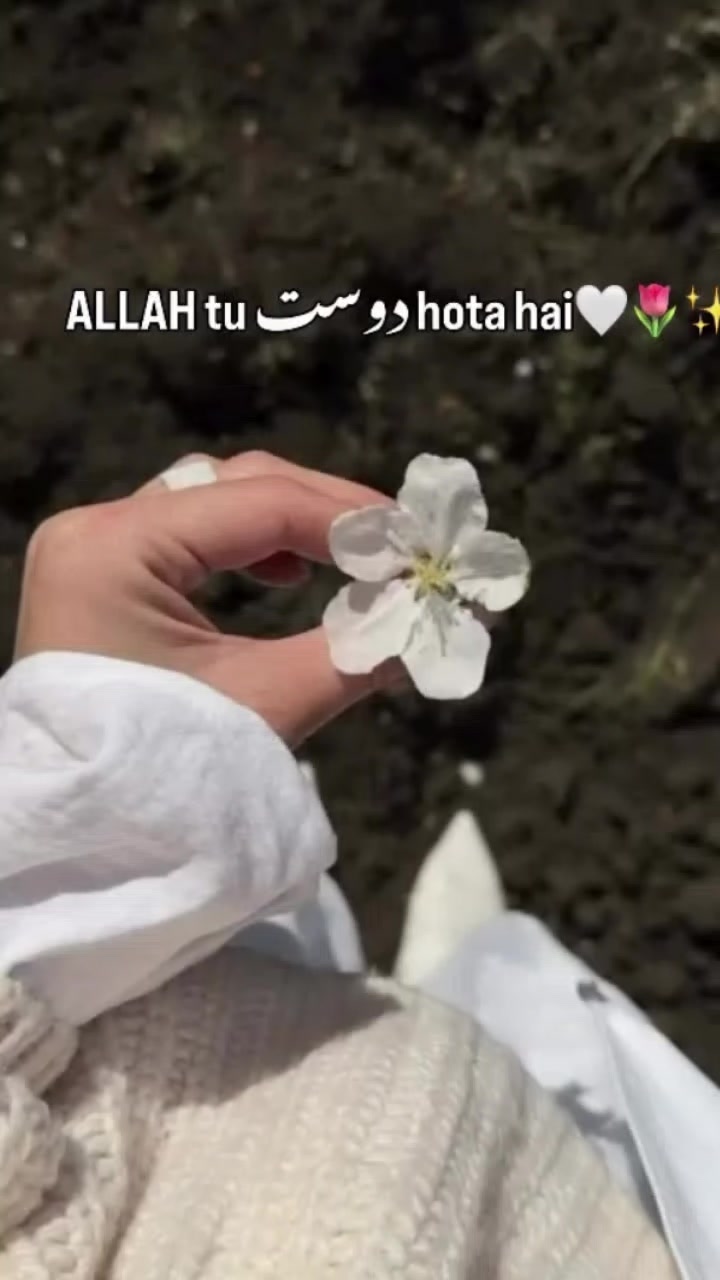 @Mr,s Ahmed😙&hearts;️