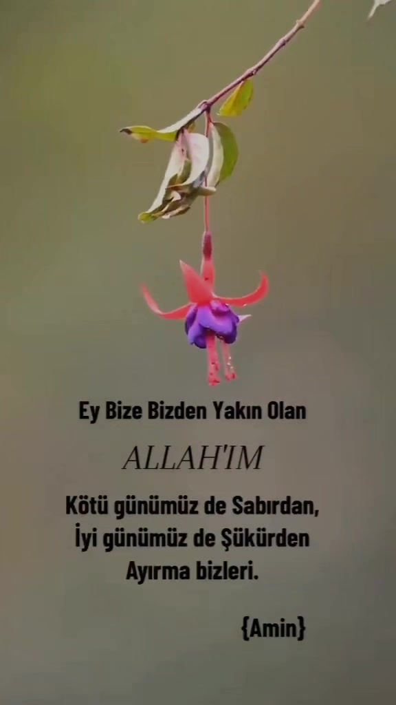 @Yusuf G&uuml;n493