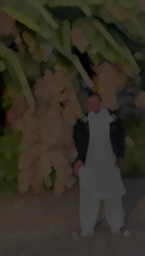 @حمزہ حان👑