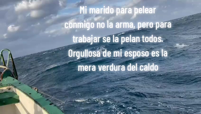 @Any SM 🐼