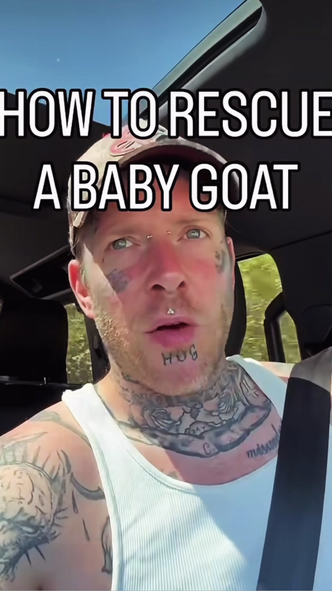@HOG