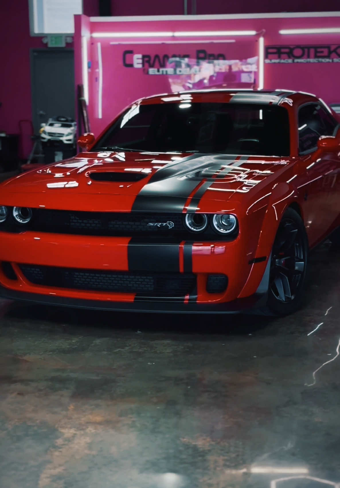 @Protektd