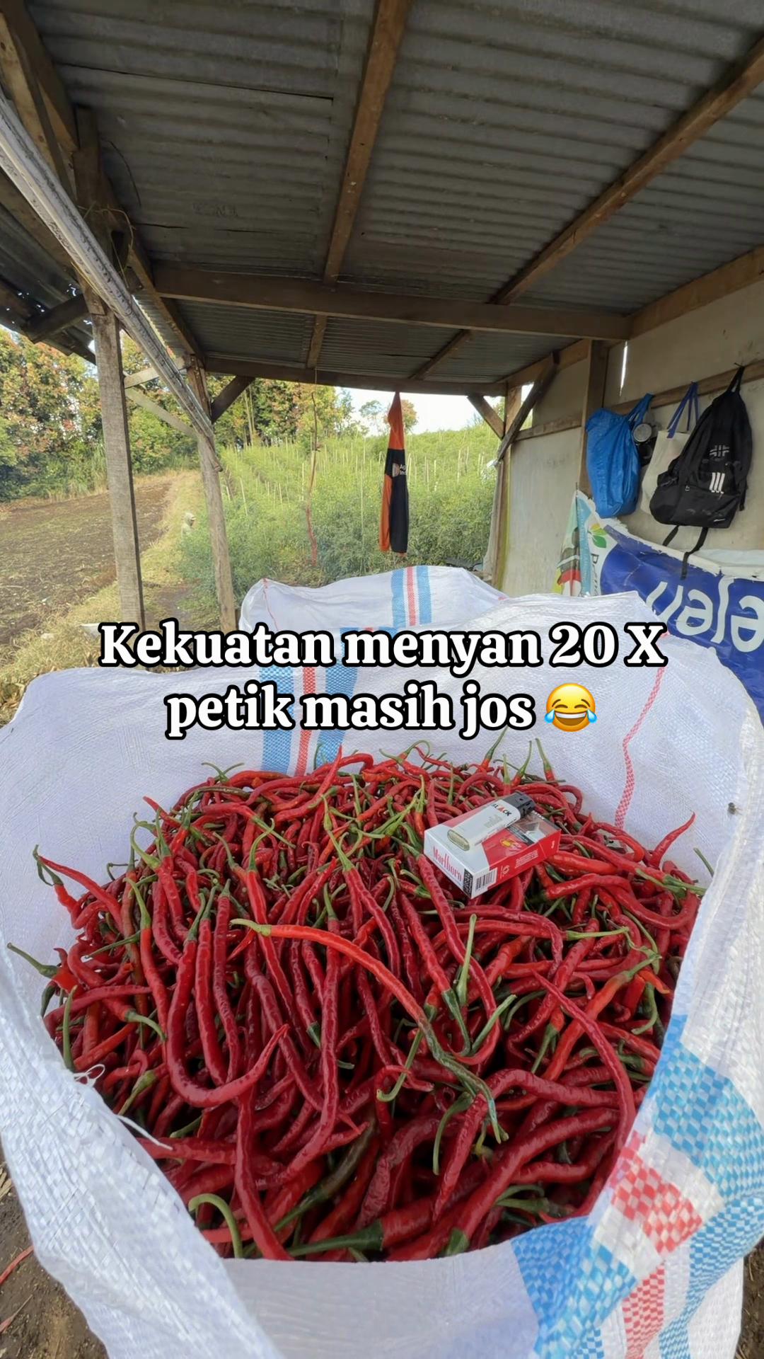 @Nanda
