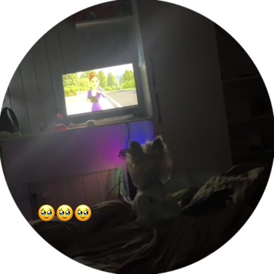 @vladochkachipss