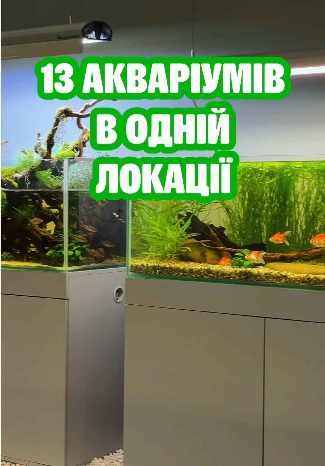@Зоомаркет MasterZoo