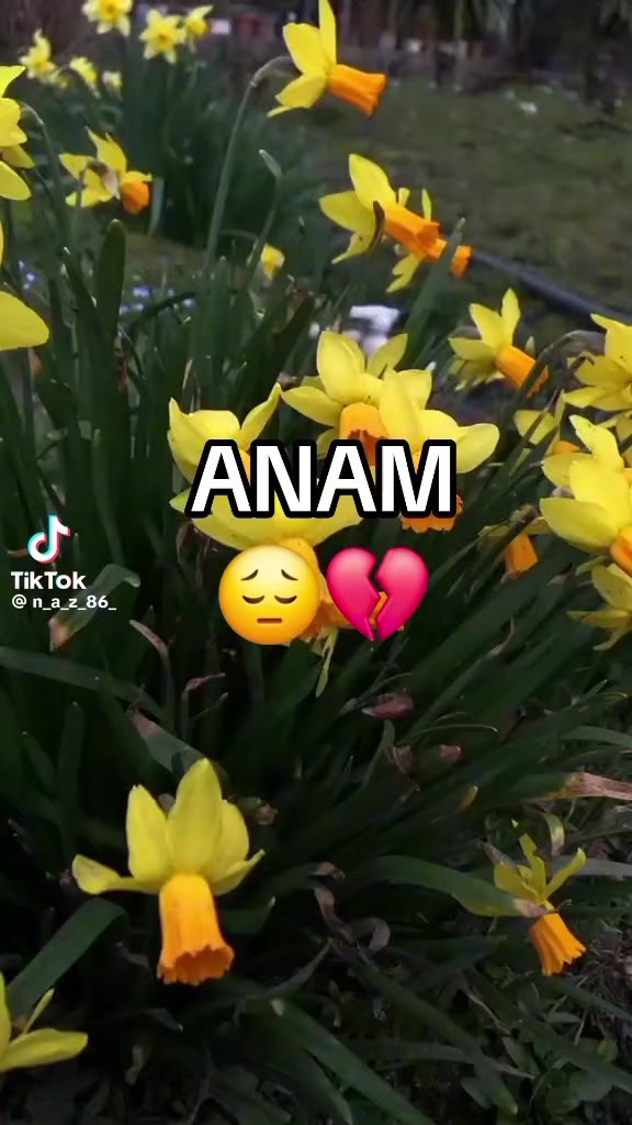 @yetim qiz