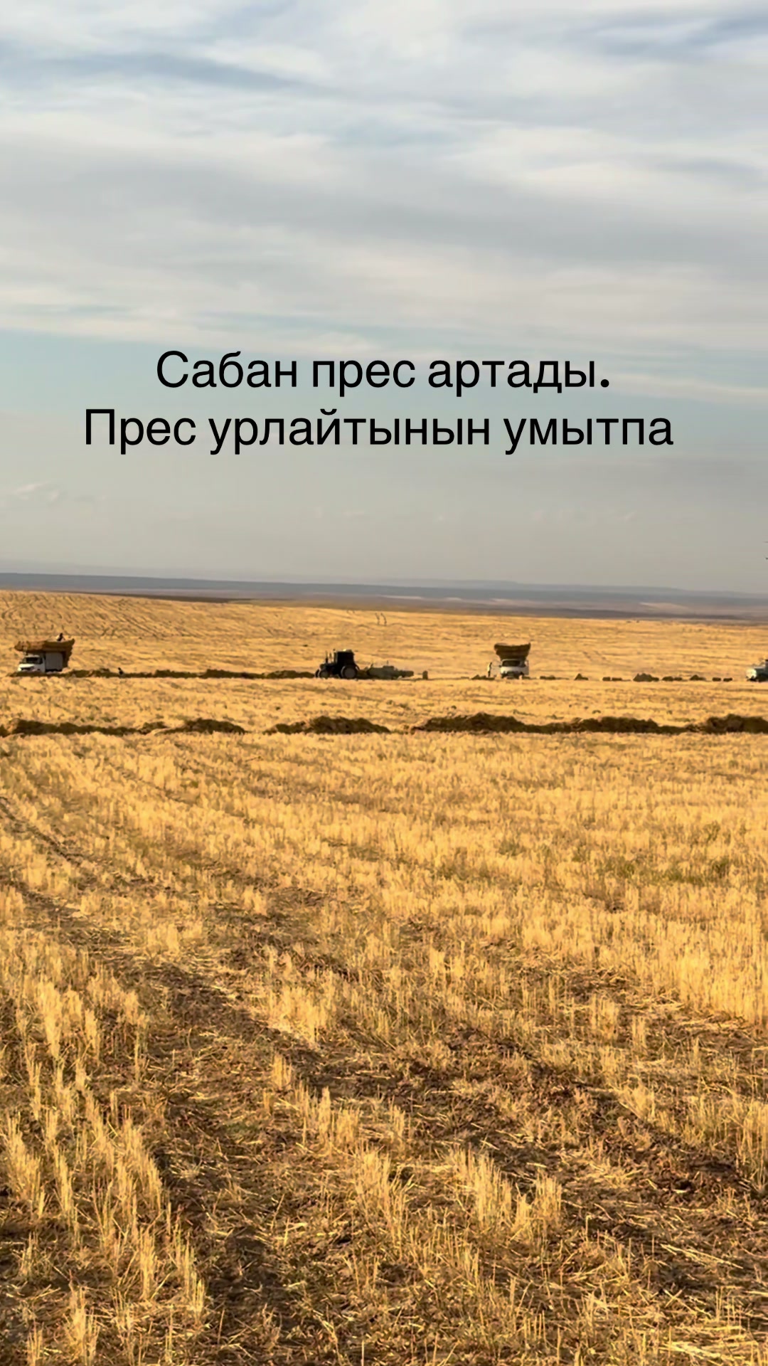 @Омирзак