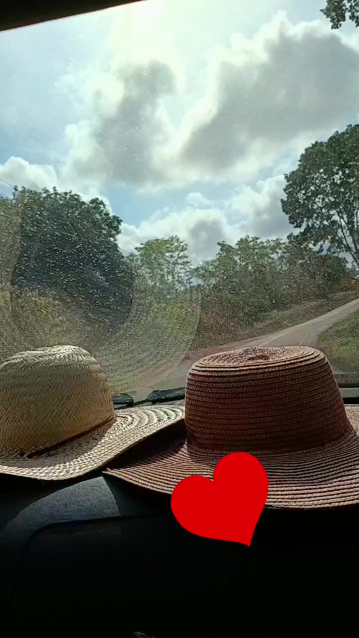 @Dayane Xipaia 🩷🤍❤️💜💛