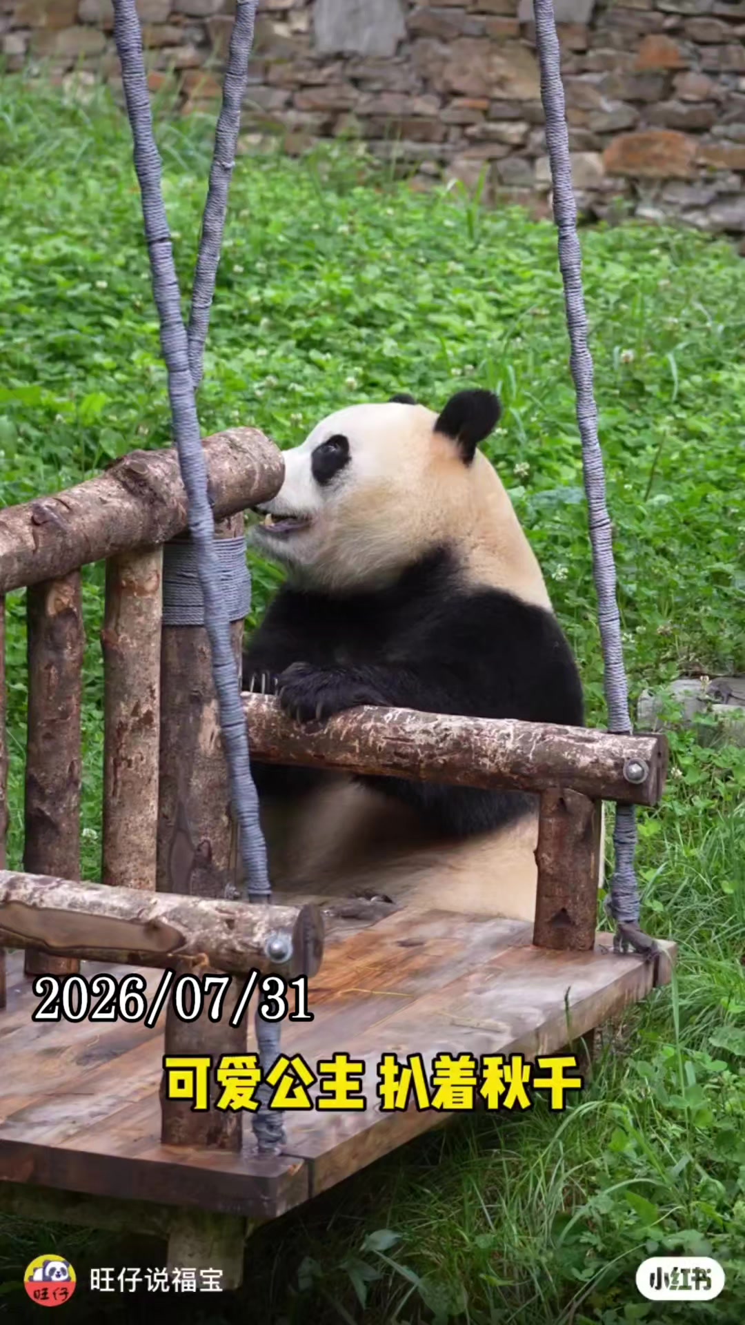 @福寶需要愛的抱抱