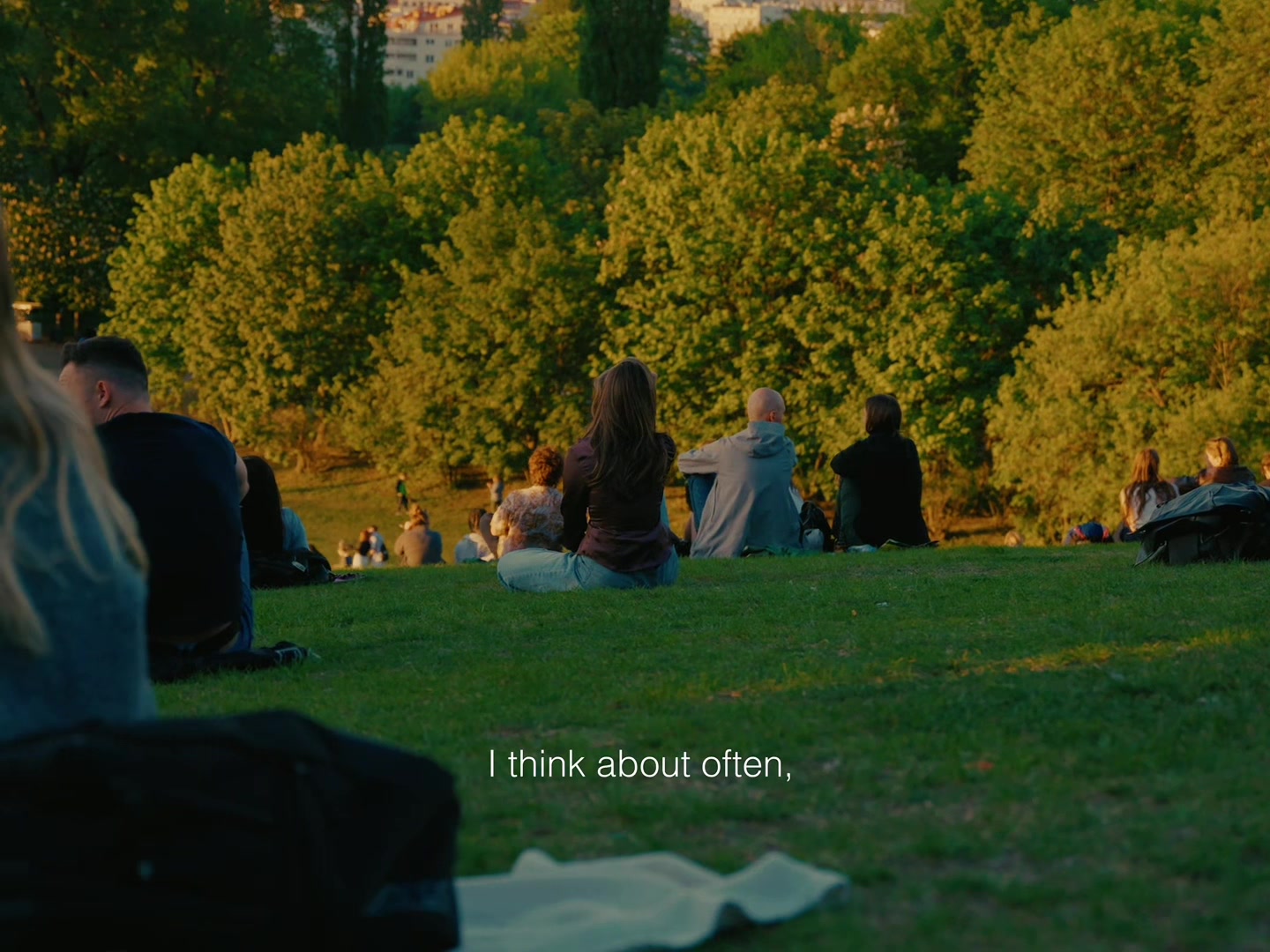 @directed by amin