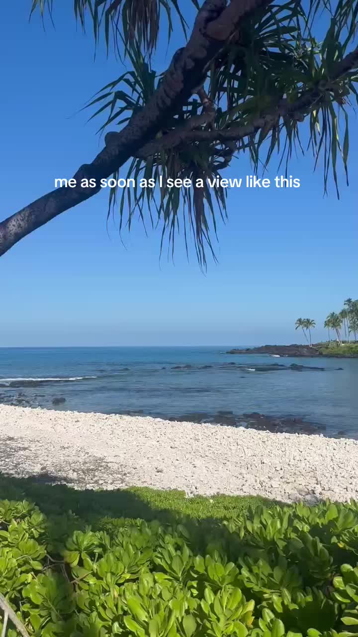 @sheeajanelle