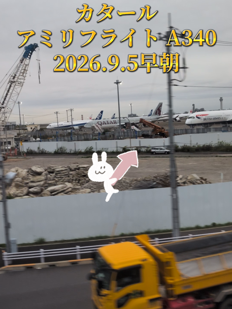 @そらねこ🐱sky cat