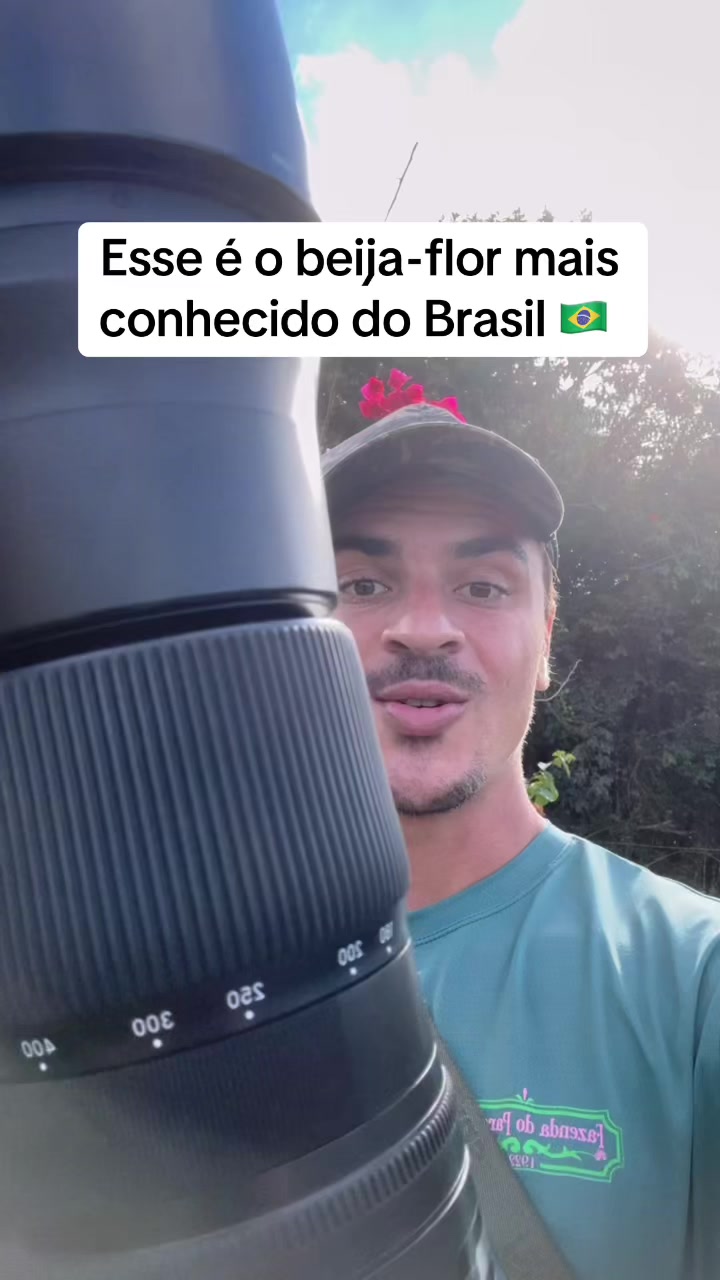 @Vinícius Köhn Pássaros