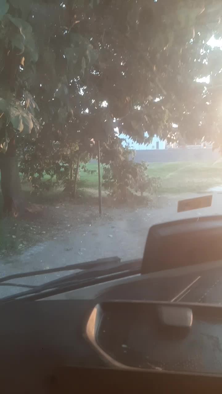 @unal ayhan