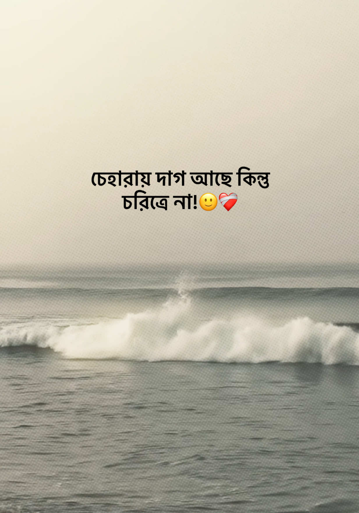 @आईएएन ┊🐥