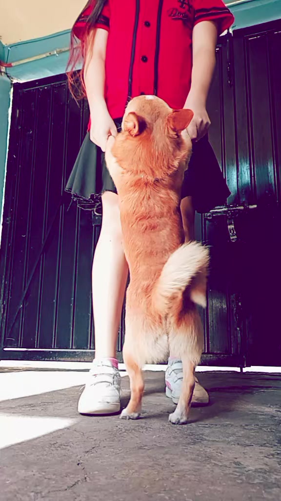@🐶seungmin💗love🌷