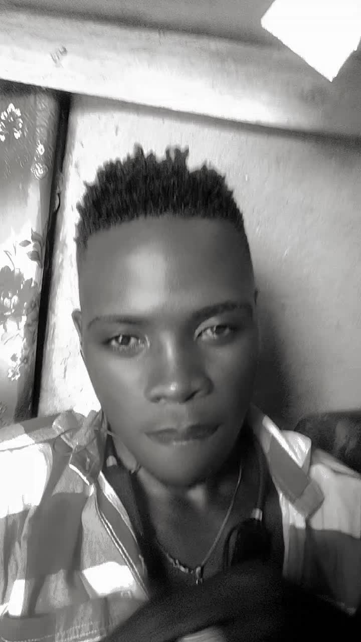 @user288576399953