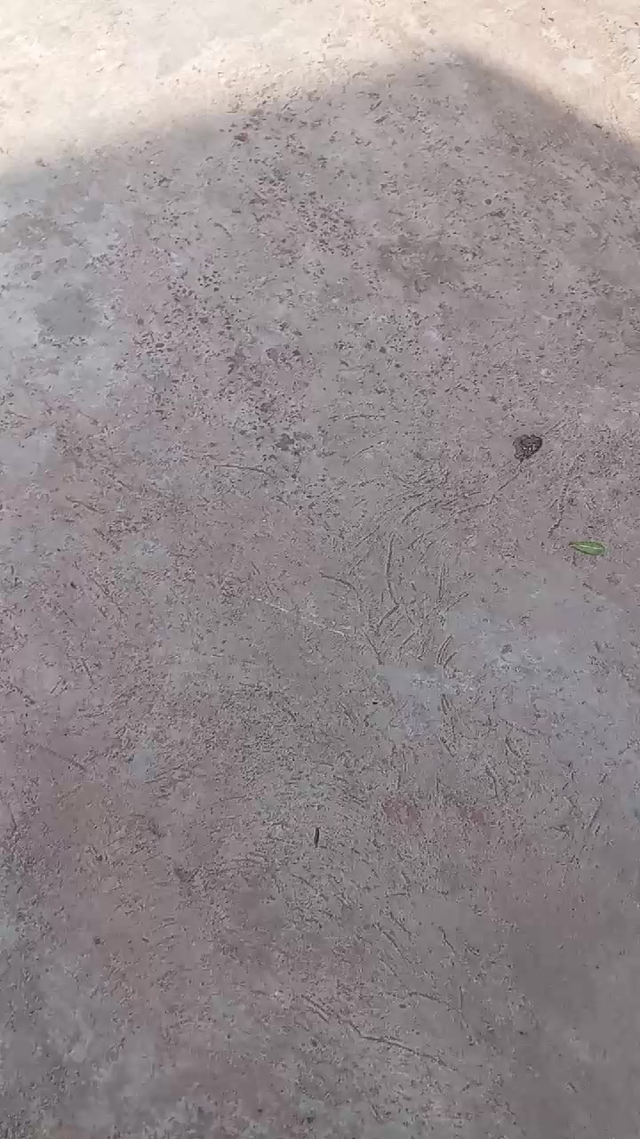 @Ali Zeneldin