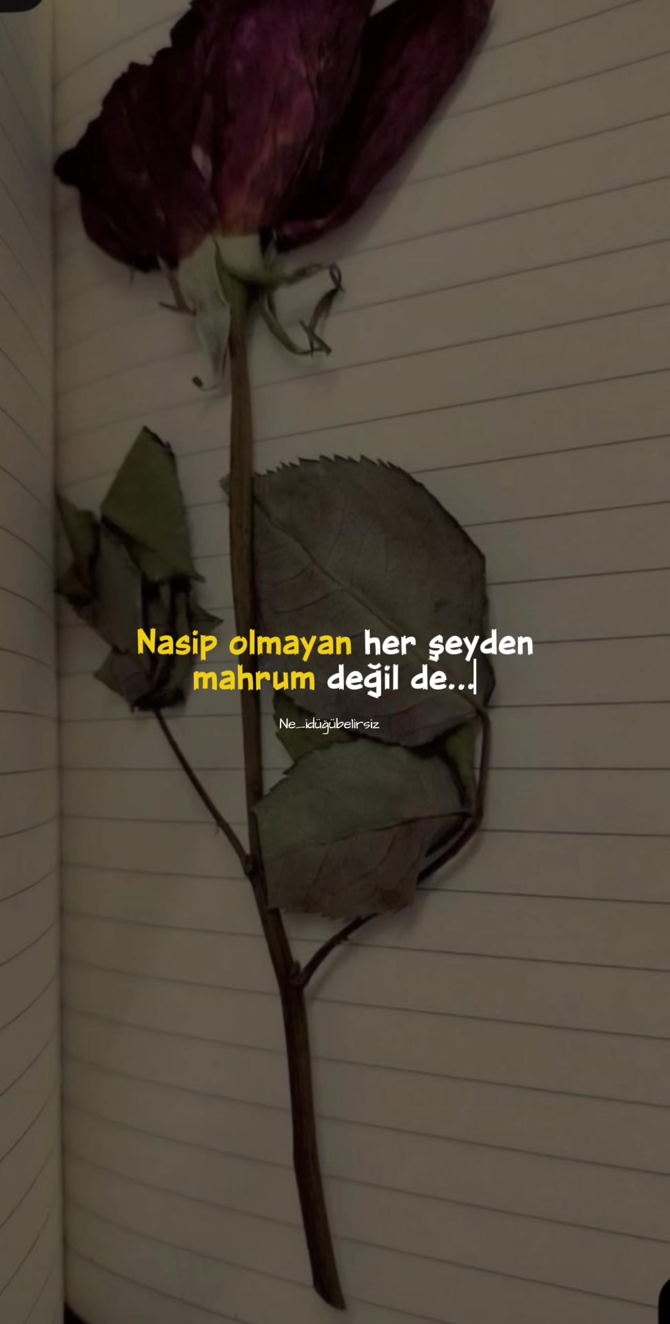 @ne_idugubelirsiz