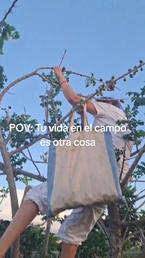 @francisca landaverde