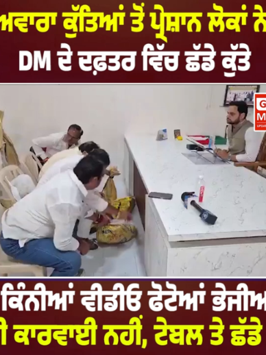 @gkmmediatv