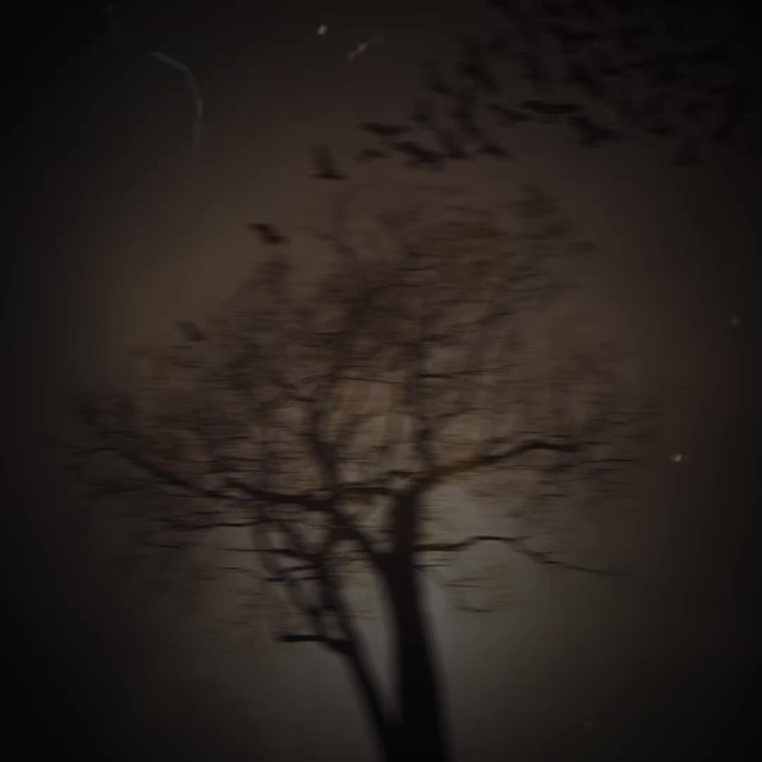 @𝐕𝐈𝐋𝐋𝐀𝐈𝐍 o_O 𝐩𝐚𝐠𝐞