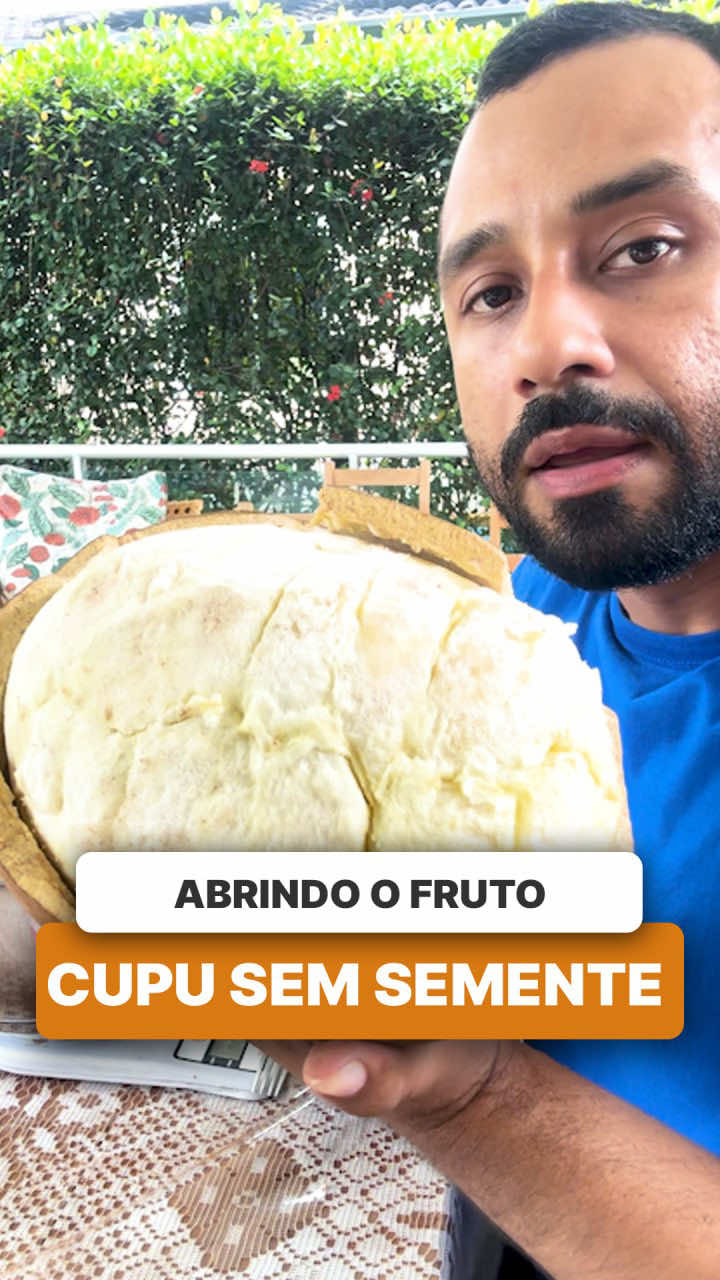 @ViveiroProMudas