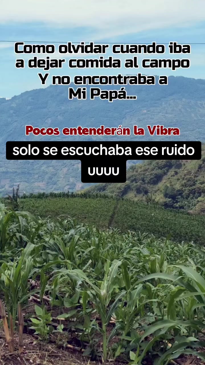 @siltepec sv