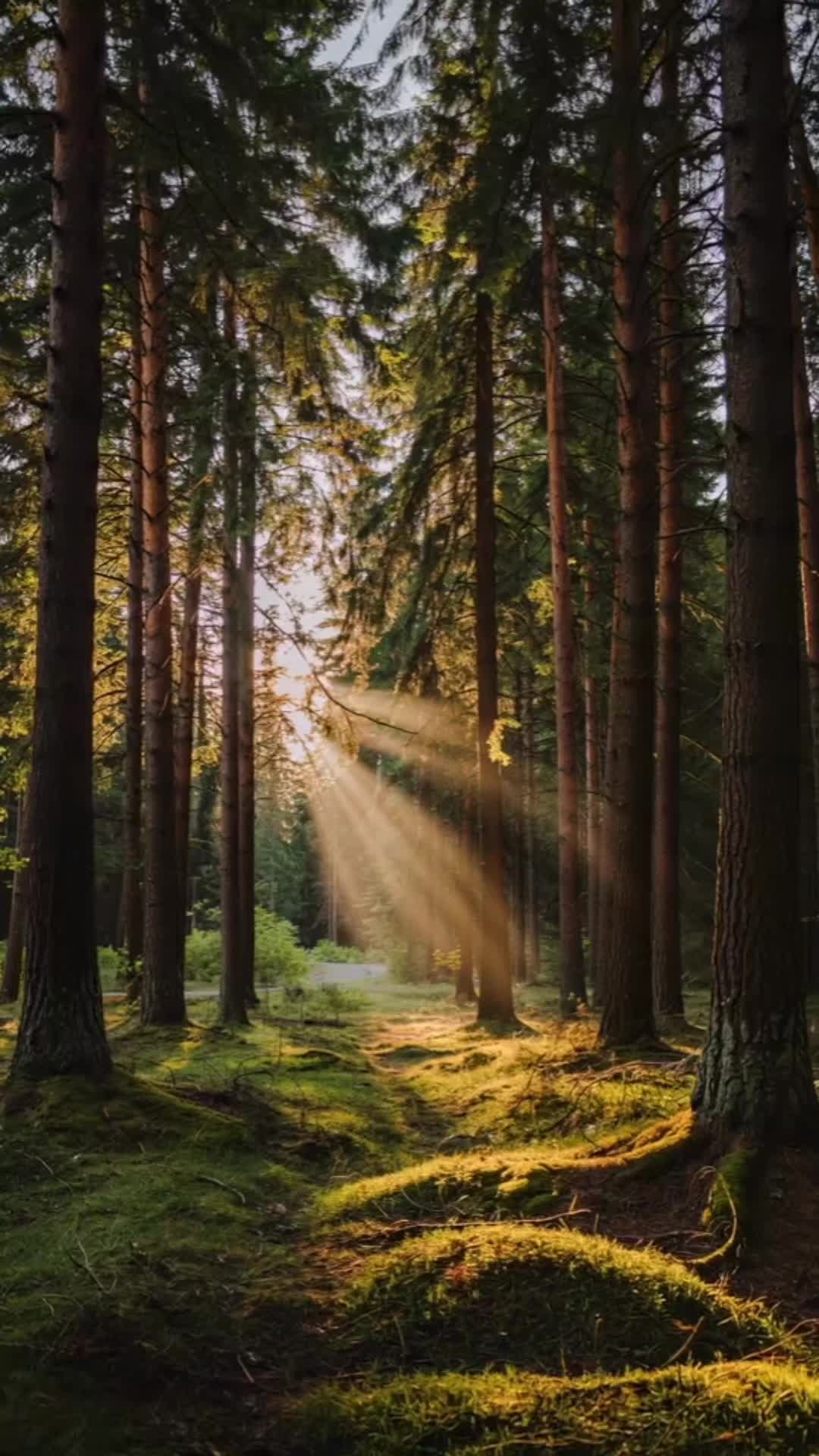 @MillaVerg