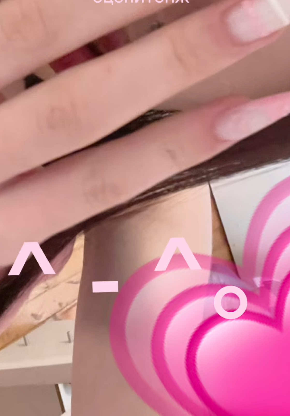 @˗ˏˋ♪𝄞 ≽^• ˕ •^≼𝄞♪♫ˎˊ˗