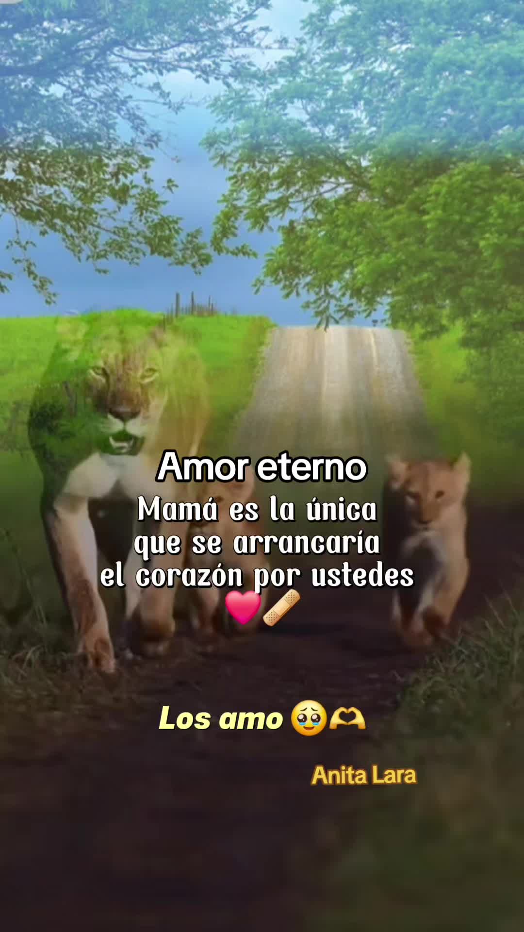 @Anita Lara